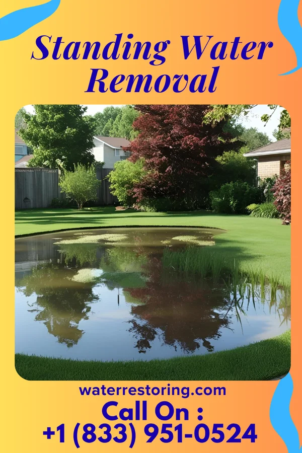 Standing Water Removal in Winder, GA